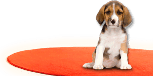 печать на холсте